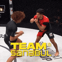 Mma GIF by Sanabul