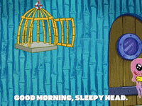 season 8 GIF by SpongeBob SquarePants