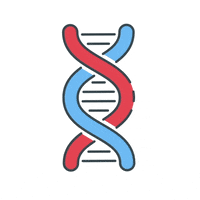 hooterbux hbx chemistry GIF