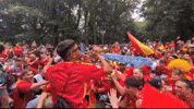 World Cup Football GIF