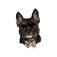 Dog Bulldog Sticker by Pickle's Pawtraits