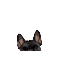 Otiboaty Sticker by Pickle's Pawtraits