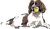 Fetch Best In Show Sticker by Vera Bradley