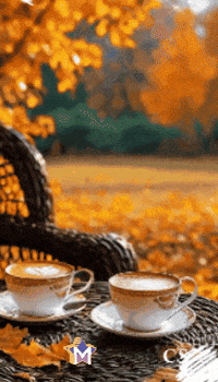 Gracias Amigos GIF by Murcianys LLC