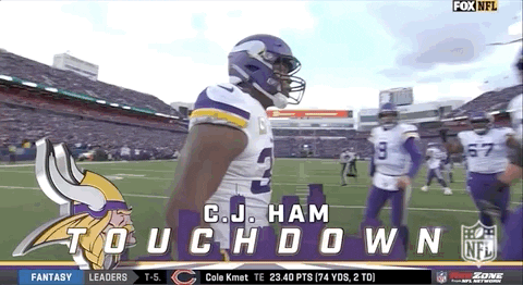 Minnesota Vikings Football GIF by NFL