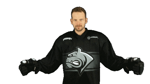 Dec Dornbirn Sticker by DornbirnBulldogs