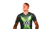 Jeffrey Bruma Soccer Sticker by VfL Wolfsburg