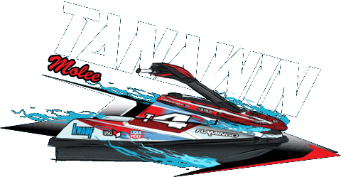 Racing Flamingo Sticker by SMD Graphics