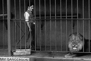 charlie chaplin GIF by Maudit