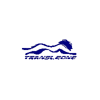 transleone seguranca transleone empresalacoamarelo Sticker