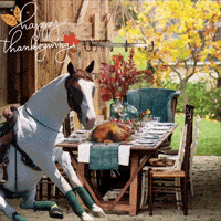 Horse Thanksgiving Turkey GIF by Primapolo Productions