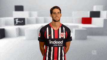 Eintracht Frankfurt Football GIF by Bundesliga