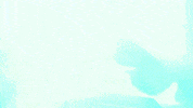 lcd soundsystem GIF by Coachella