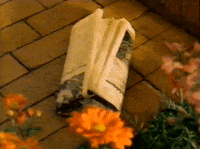 War News GIF