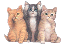 cat STICKER