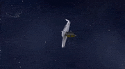 nasa space science universe nasa GIF