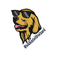 Cool Dog Wizard Sticker
