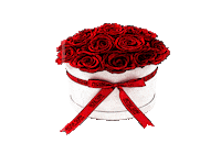 Flower Sticker by rose suay