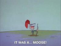 ren and stimpy nicksplat GIF