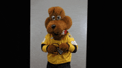 BdnWheatKings kings brandon willie wheat GIF