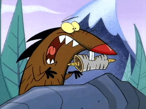 nickrewind giphydvr nicksplat angry beavers giphyab002 GIF