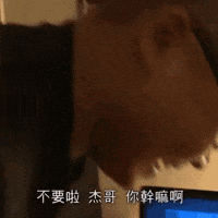 不要 GIF