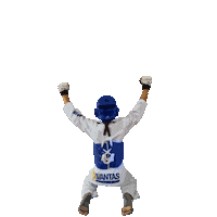 avantas fight sports yeah karate Sticker