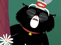 King Tubby Cats GIF by Kitty Is Not A Cat