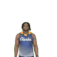 Clarke Athletics Sticker by Clarke University