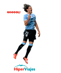 copa america goal Sticker by HiperViajes
