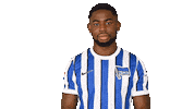 Home Bundesliga Sticker by Hertha BSC