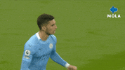Happy Premier League GIF by MolaTV