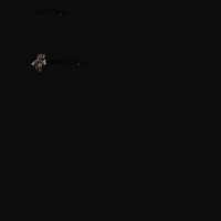 Thisishot GIF by FlySMarketing.com