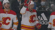 Ice Hockey Sport GIF by NHL