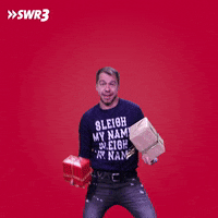 Happy Merry Christmas GIF by SWR3