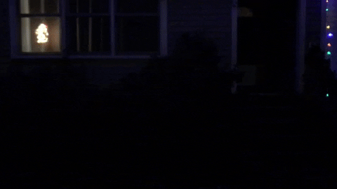 joelbannerbaird giphyupload GIF
