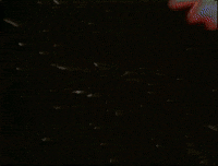 Touch Me 80S GIF