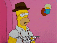 homer simpson episode 6 GIF