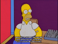 homer simpson episode 6 GIF