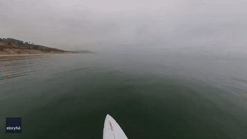 Paddleboarder Spots 'Unmistakable' Shadow of Shark Swimming Beneath Him