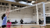 ArchmereAcademy volleyball high school volleyball archmere auks GIF