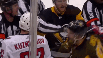 nhl penguins GIF