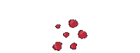 rosesbyrose love valentine valentinesday roses Sticker