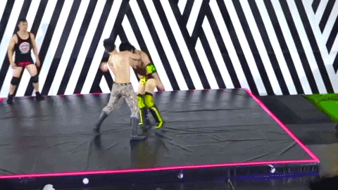 ladykiller giphygifmaker rock bottom rockbottom ladykiller GIF