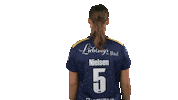 handballbundesligafrauen handball hbf nielsen handball bundesliga frauen Sticker
