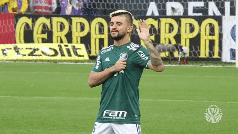 victor luis fe GIF by SE Palmeiras