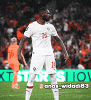 Morocco Marruecos GIF