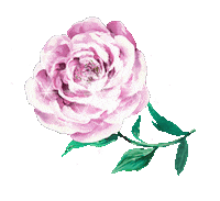 Pink Flower Sticker by Ledri