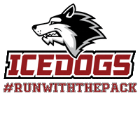 Hockey Bozeman Sticker by BozemanIcedogs