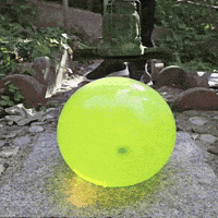 Garden Grass GIF by Spektr